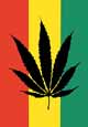 Rasta Marijuana Leaf