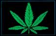 Marijuana Leaf