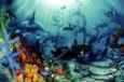 Ocean Treasures