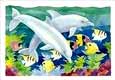 Dolphin Duo