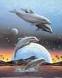 Metz-Leaping Dolphins