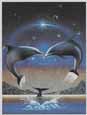 Kissing Porpoise