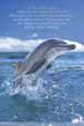 To The Dolphin Alone