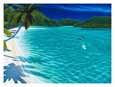 Trunk Bay