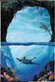 Dolphin Pass