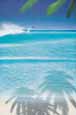 Surfer's Paradise