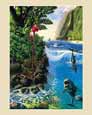 Island Harmony