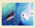 Surf Buddies